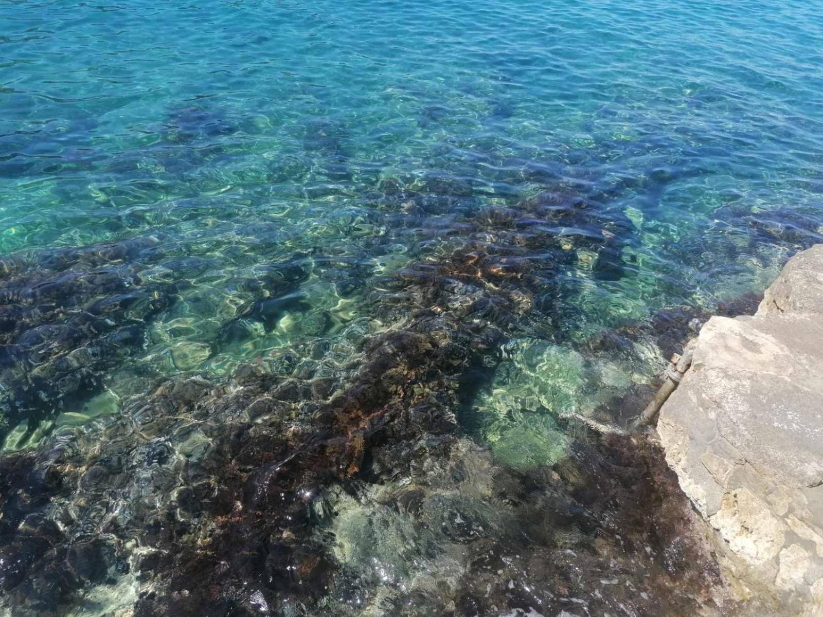 Apartmani Lux Sea ウトイェハ エクステリア 写真